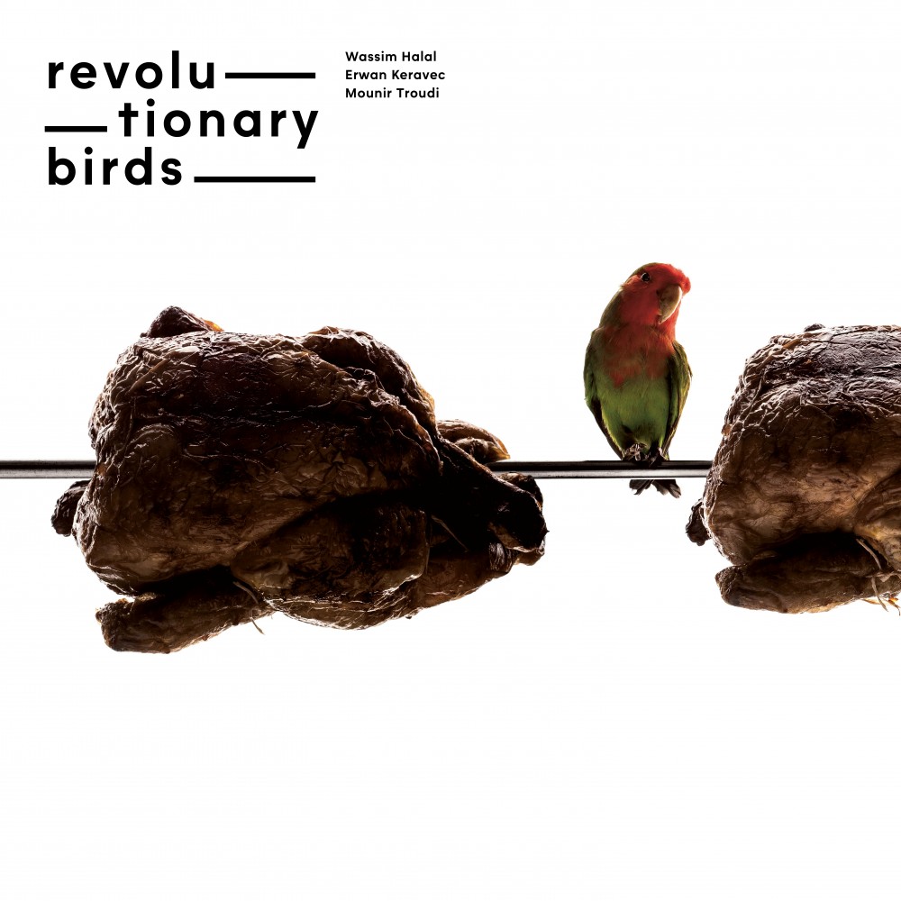Revolutionary Birds